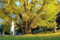 Cave Hill Cemetery