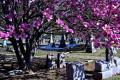 Cave Hill Cemetery