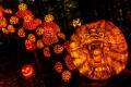 Jack O'Lantern Spectacular