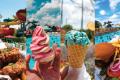 Kentucky Kingdom Theme & Water Park