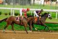 Kentucky Derby Museum