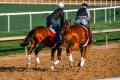 Thoroughbred Workout Tour