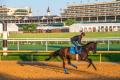 Thoroughbred Workout Tour